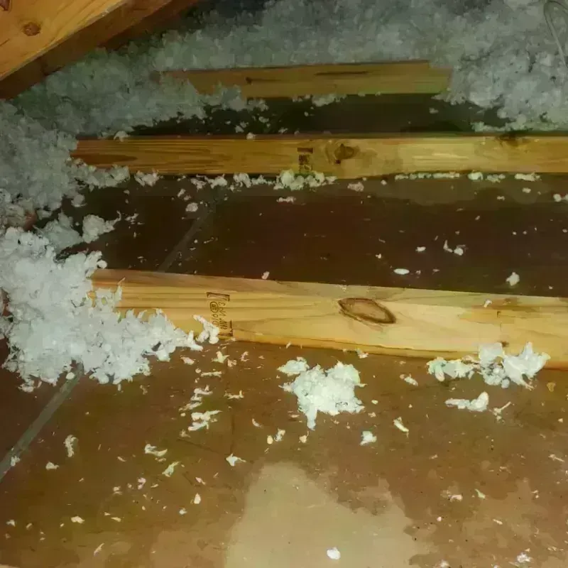 Attic Water Damage in Goodrich, MI