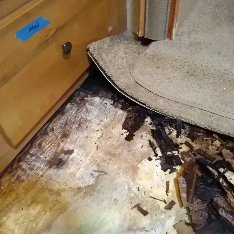 Best Wood Floor Water Damage Service in Goodrich, MI